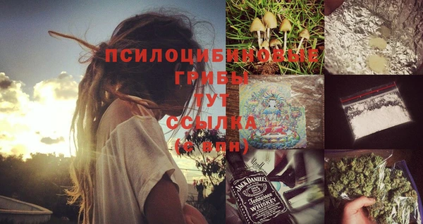 СК Балахна