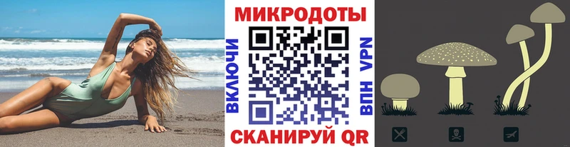 Псилоцибиновые грибы GOLDEN TEACHER  OMG ссылка  Биробиджан 